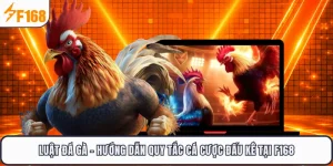 Luật Đá Gà - Hướng Dẫn Quy Tắc Cá Cược Đấu Kê Tại F168